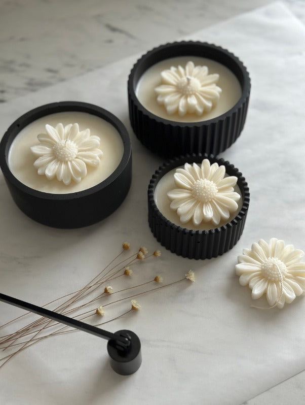 Black MINI daisy soy candle 70 ml